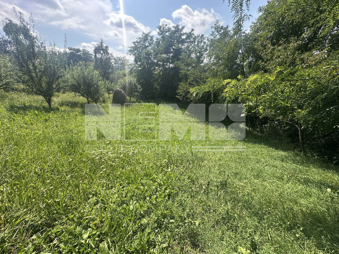 Teren Darmanesti | 41 Ari | 26.500EURO - Poză 7