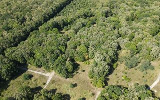 Vânzare, teren pentru construcție, 9.21 ha, Micăuți, Sireț - Poză 6