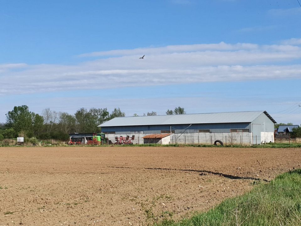 Hala de vanzare Costesti - Poză 10