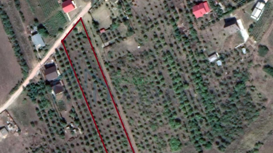 Teren intravilan 5.050 mp Tomesti–Chicerea | P+2E | casa sau parcelare - Poză 3