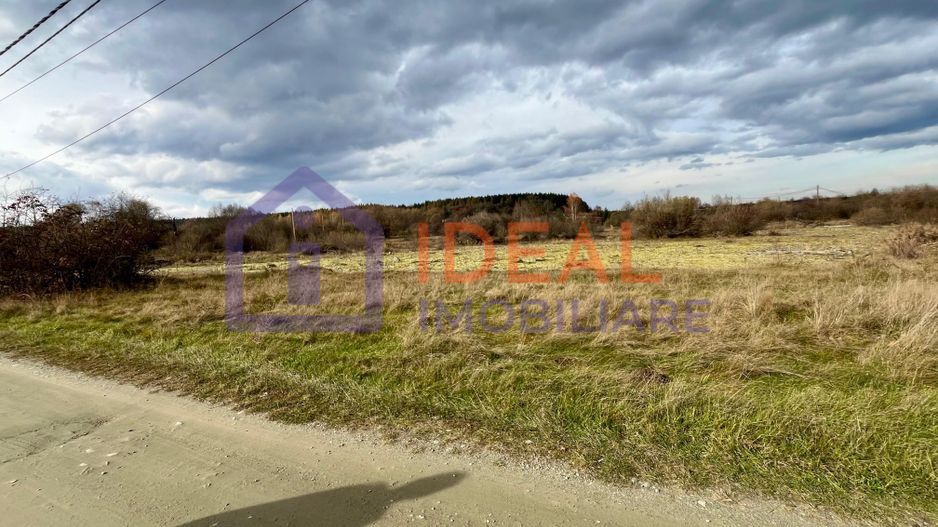 Teren extravilan 868 mp, Cârțișoara - Poză 1