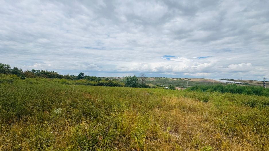Parcele teren intravilan Paleu - Poză 3