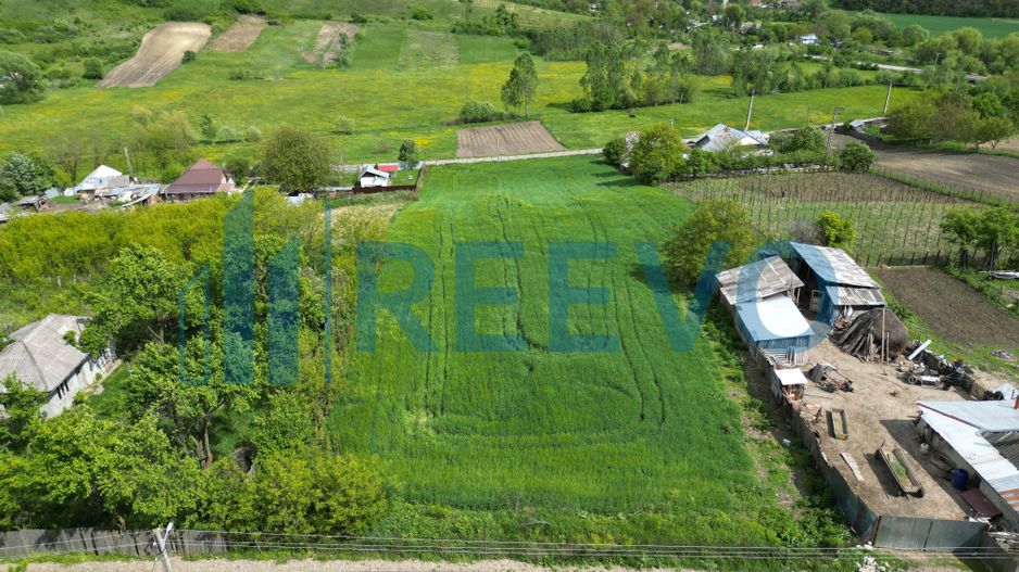 Teren de vânzare, Sat Valea Mare, Com. Roșiori, Bacău - Poză 4