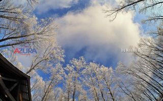 COMISION 0% -Casa deosebita Ciocanai - Poză 42