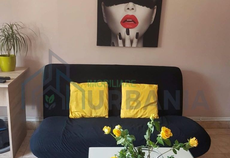 Apartament 3 camere decomandat, parter, Aleea Nicolina 13, complet mobilat și utilat - Poză 2