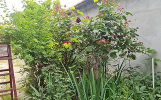 Casa individuala Voluntari zona Metro superpret!!! - Poză 3