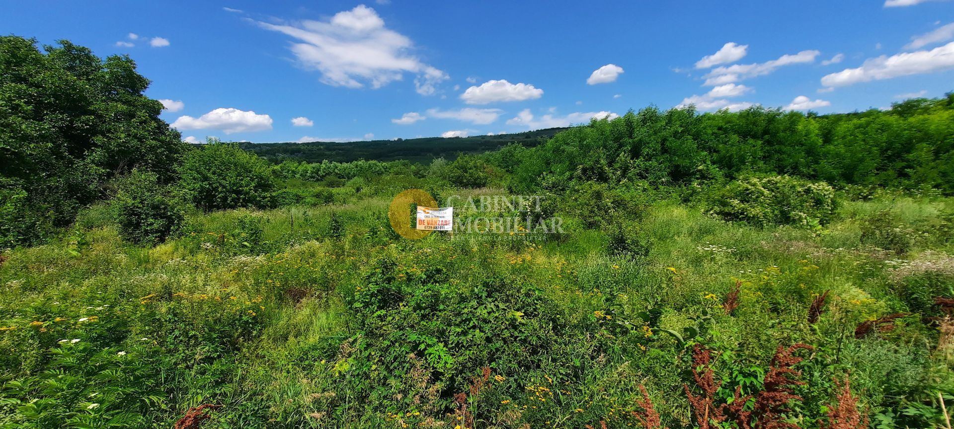 🌳 🌞🌿 TEREN INTRAVILAN OSOI 2800 mp - 49.999 Euro ! 🌳🌞🌿 - Poză 8