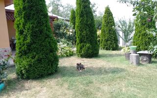 Casă de vacanță modernă cu teren generos –15min de Tecuci - Poză 24