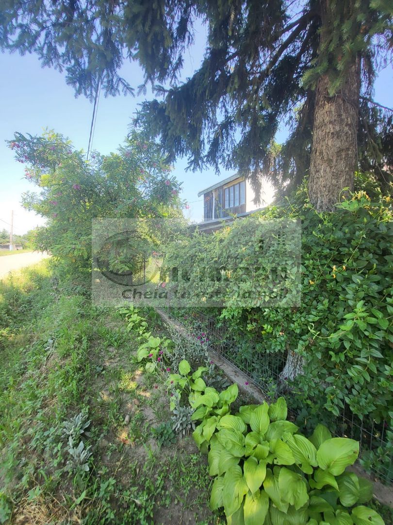 Casă individuala 4000mp teren com Alexandru Ioan Cuza sat Kogalniceni - Poză 28