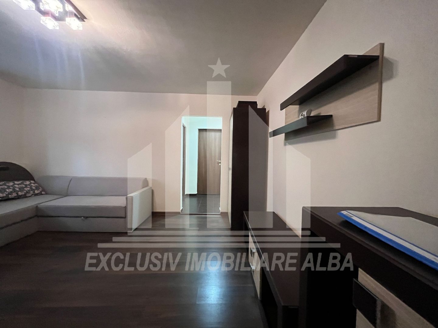 Apartament cu 3 camere de vanzare, Cetate - Poză 3