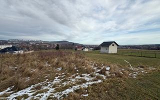 Teren Voievodeasa | 19.5Ari | Intravilan - Poză 5