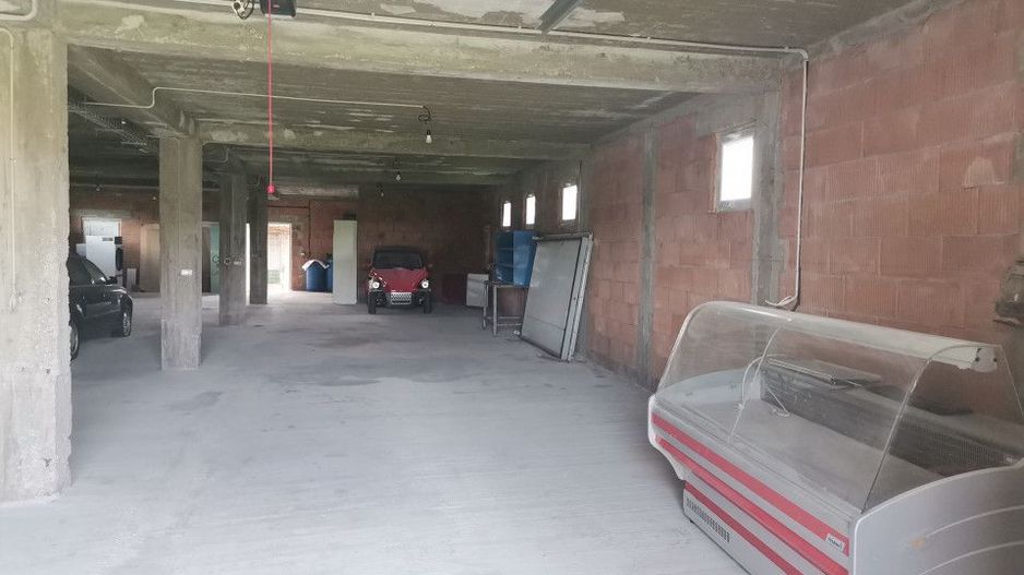 Inchiriere hala depozitare si teren, Labusesti - Poză 8
