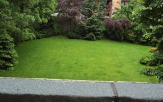 Vila impresionantă cu 15 camere, situată în zona Barbu Văcărescu - Poză 14