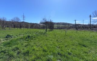 CASA 5 CAMERE TEREN 7500 MP CAMPULUNG - Poză 21