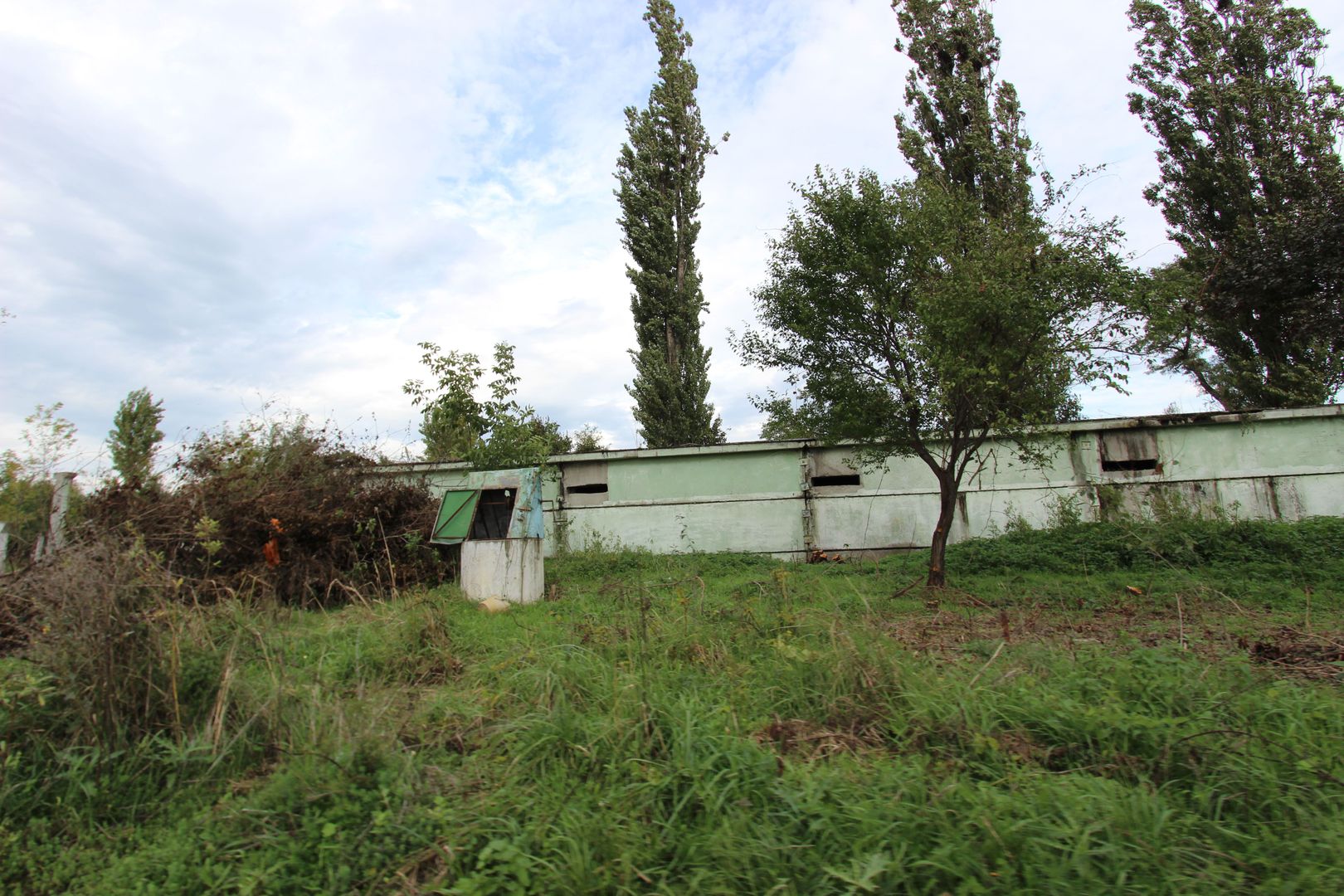 Vanzare hale Mosnita Noua-fosta Ferma 7 - Poză 40