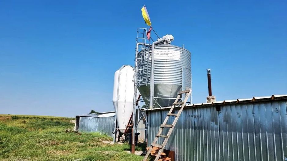 Ferma de gaini ouatoare in sistem free-range | 45.000 mp teren - Poză 2