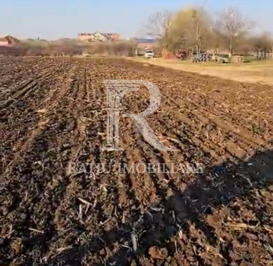 Teren Intravilan | 1780 mp | Sânmartin - Poză 7