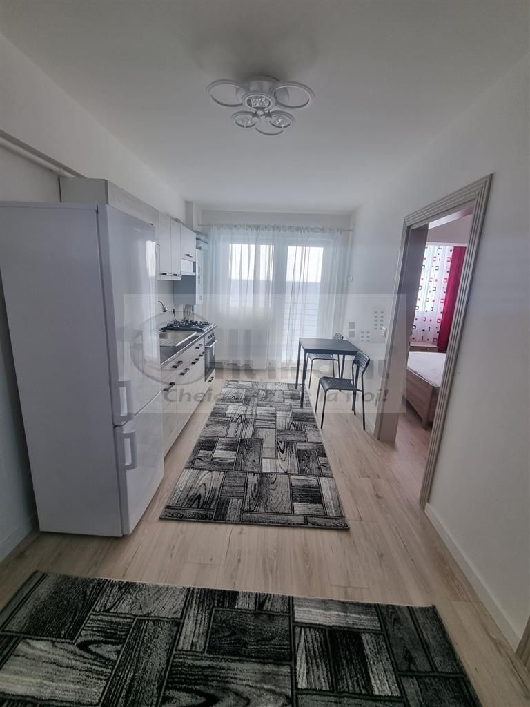 Apartament 1 camera Bucium-300Euro - Poză 5