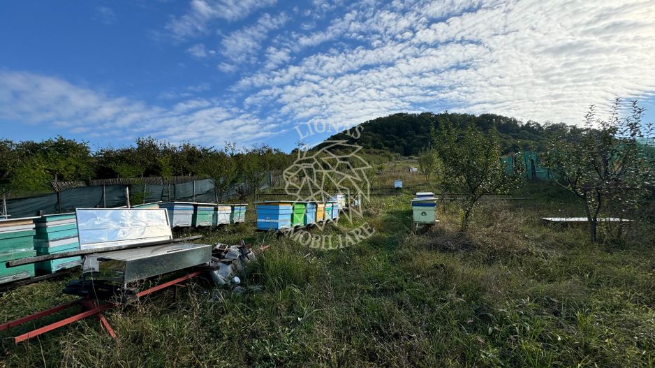 Parcele 500/600 mp-intravilan-utilitati-panoramic-Valea Ghinzii - Poză 2