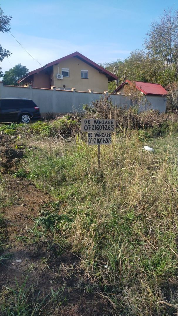 Teren de vânzare în Dascalu, judet Bucuresti Ilfov - Poză 8