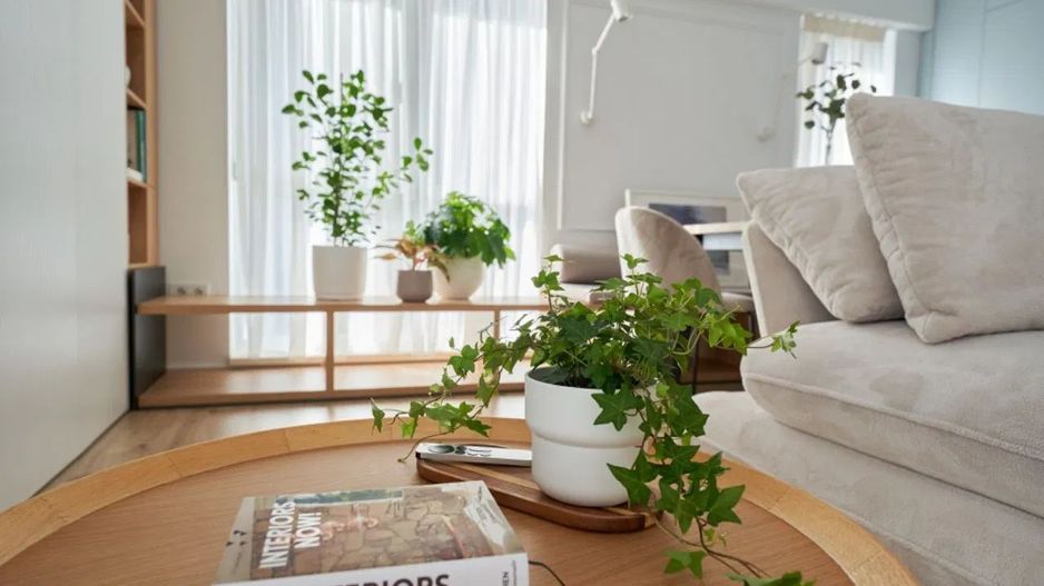 Apartament 3 camere, premiat la Romanian Design Week - Poză 6