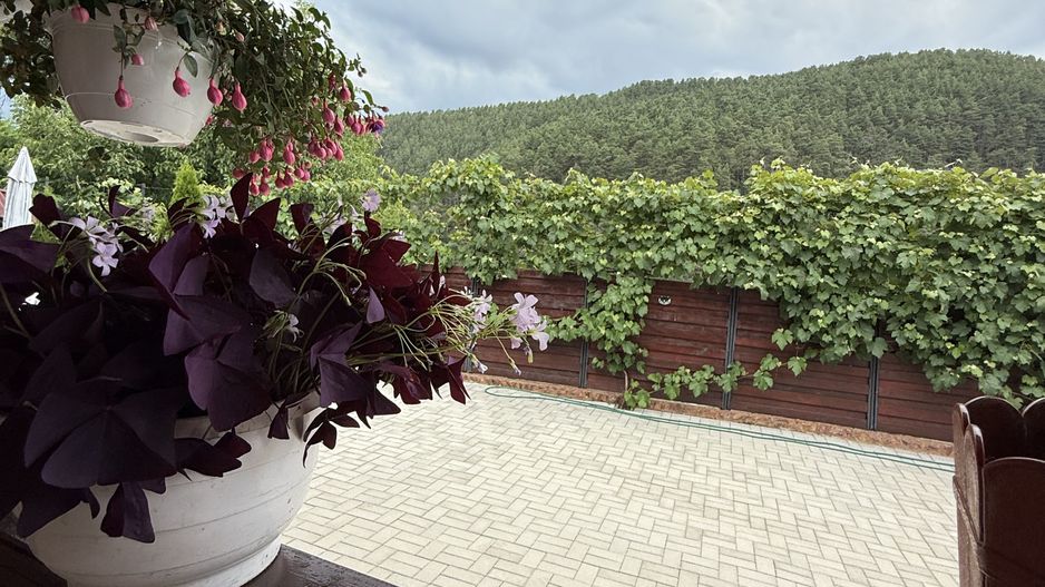 Casă de vis în Rășinari – în inima munților, cu priveliște de poveste - Poză 16