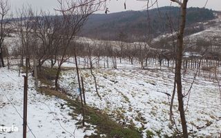 Teren intravilan 704 mp, acces asfaltat, priveliste Padurea Breazu - Poză 12