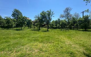 TEREN INTRAVILAN 3477 MP STOENEȘTI BĂDENI ARGEȘ - Poză 7