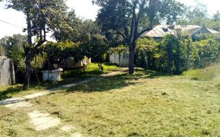 Casă tradițională în Moreni, sat Valatuci, teren 2520 mp, strada Principală nr. 82, județul Iași - Poză 10