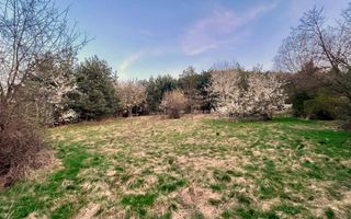 Teren Intravilan 495 mp – Zonă Liniștită - Strada Livezii - Poză 4