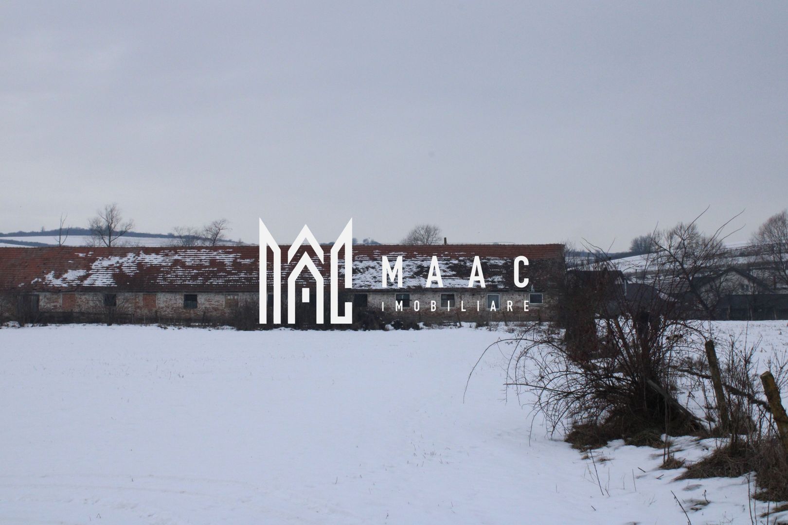 Teren 8000 mp I Intravilan I Utilitati- Vurpar - Poză 1