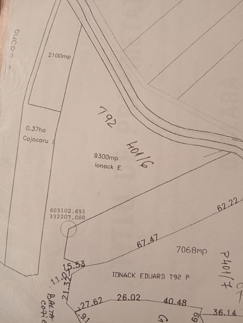 Vand teren intravilan Cozieni - Ganeasa - 9300 mp - Poză 2