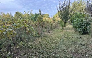 Casă individuală Buftea, 3.162 mp teren, ieșire spre lac - Poză 38