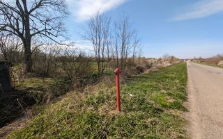 Teren intravilan Balint 22.500 mp - Poză 9