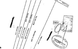 GIULESTI | Teren intravilan PUZ V3a2 9000mp ideal terenuri de sport - Schiță 2