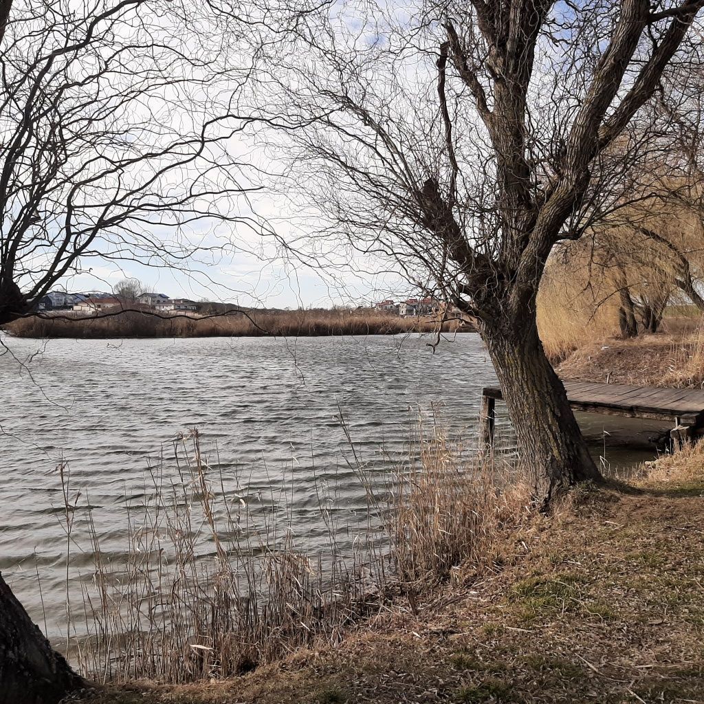 Teren la Lac intravilan construcții Corbeanca Ilfov - Poză 1