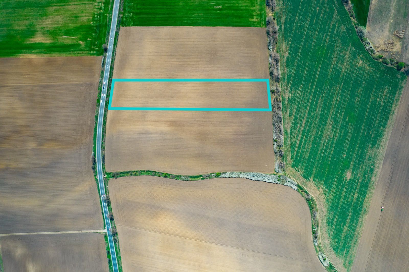 Teren extravilan între Arad și Zimand - Poză 4