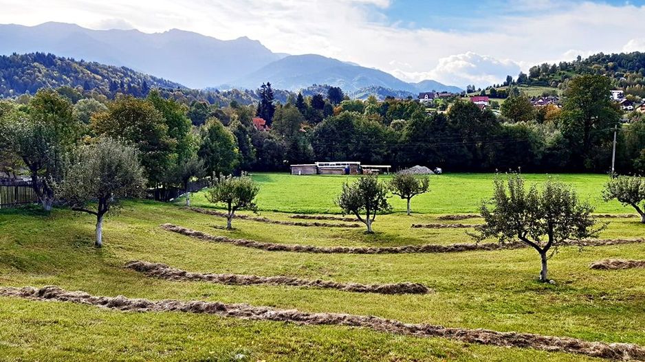 Teren superb de 16240mp, parcelabil, in Bran la intrare in Moeciu de Jos - Poză 10