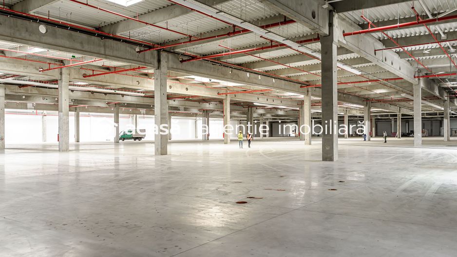 Închiriere spații industriale în Industria Park Arad - Poză 9