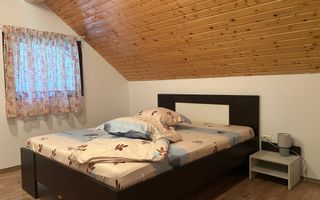 Casă de vacanță în Râu Sadului - Poză 13