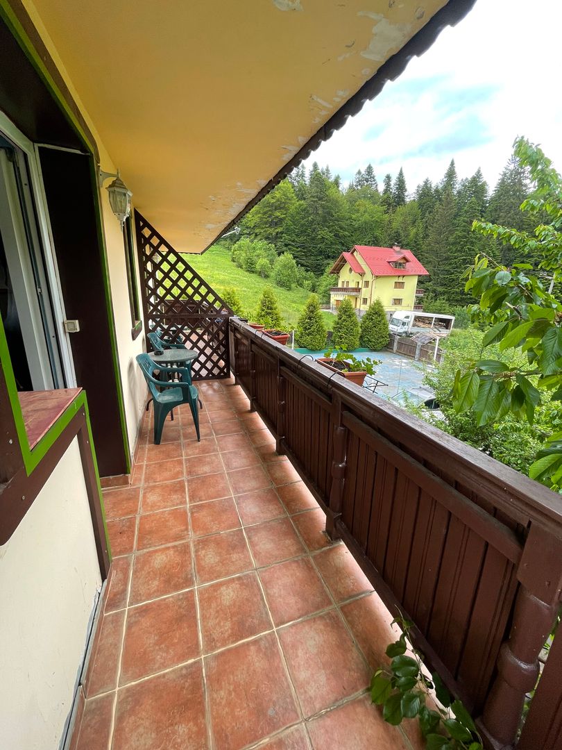Proprietate in incantarea naturii, oportunitate investitie/rezidential, Predeal - Poză 42