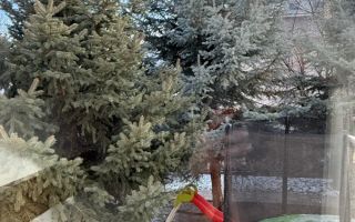 Apartament 2 camere, curte interioara, parcare, gratar - Poză 9