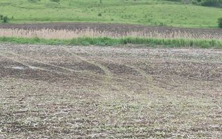 Teren intravilan 1000 mp cu utilitati-ideal casa P+2E-Sarata - Poză 1