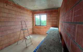 Sanandrei Duplex cu Perete Dublu, Proiect Modern - Poză 11