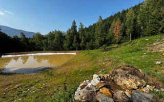 18000 mp de natura pura ,Lupeni, langa Straja - Poză 6