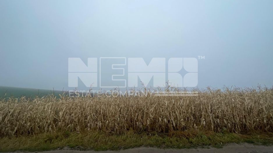 TEREN EXTRAVILAN | DOUA PARCELE 2.84 HA| IDEAL AGRICOL | DARMANESTI - Poză 19