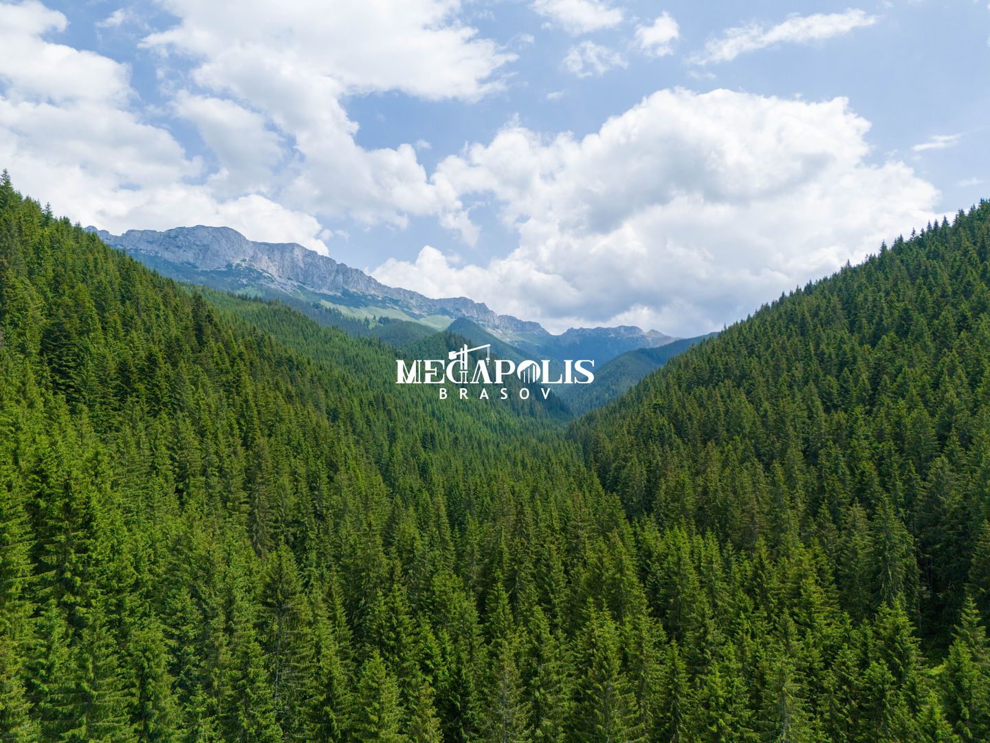 Pretabil Hotel,Pensiune,Case de Vacanta/Utilitati/PUZ - Poză 25