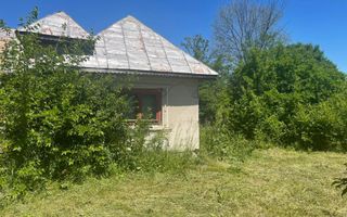 De Vanzare Gospodarie Cerbu - Poză 3