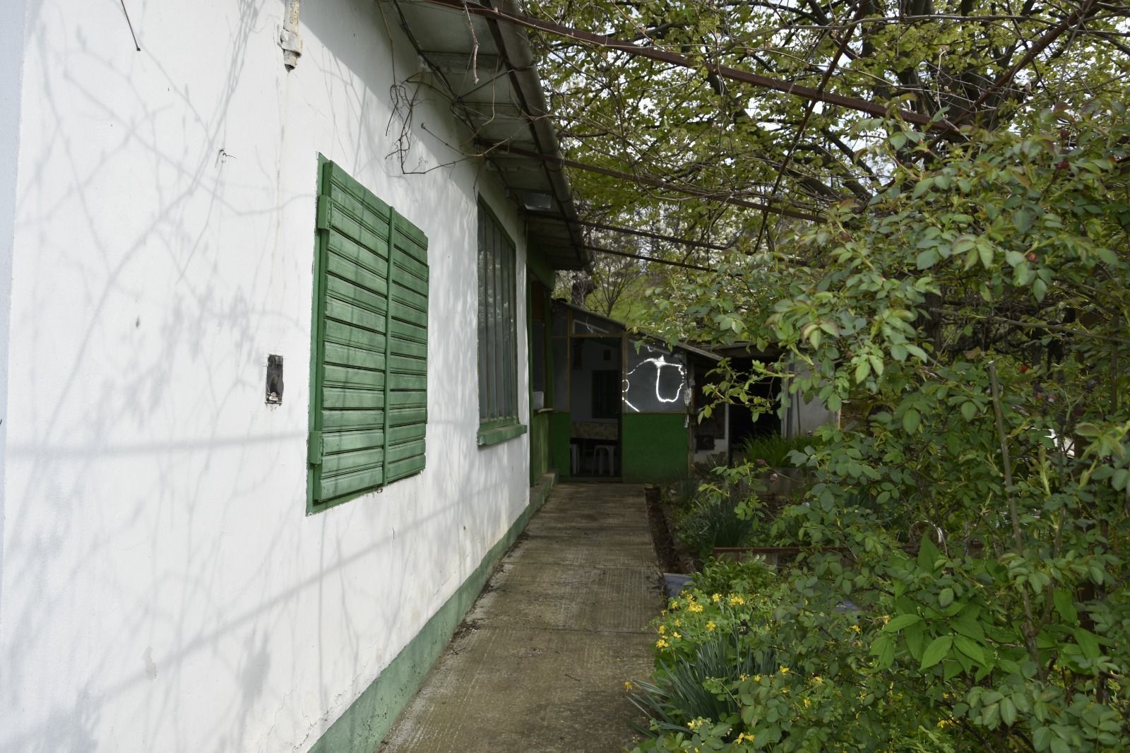 CASĂ TRADIȚIONALĂ CU GRĂDINĂ GENEROASĂ ȘI VIE – ISACCEA, JUD. TULCEA - Poză 2