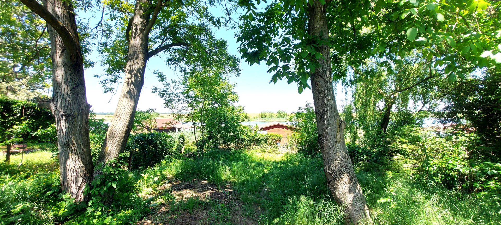 Teren Snagov - Ciofliceni cu deschidere la lac | Ponton si garaj barca - Poză 6